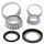 Steering bearing and seal kit All Balls Racing SB22-1025