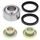 Rear shock bearing and seal kit All Balls Racing RSB29-5056