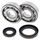 Crankshaft bearing and seal kit All Balls Racing CB24-1019