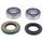 Wheel Bearing kit All Balls Racing WB25-1742