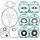 Complete Gasket Kit with Oil Seals WINDEROSA CGKOS 711235