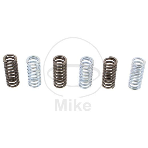 CLUTCH SPRING KIT EBC CSK102 5
