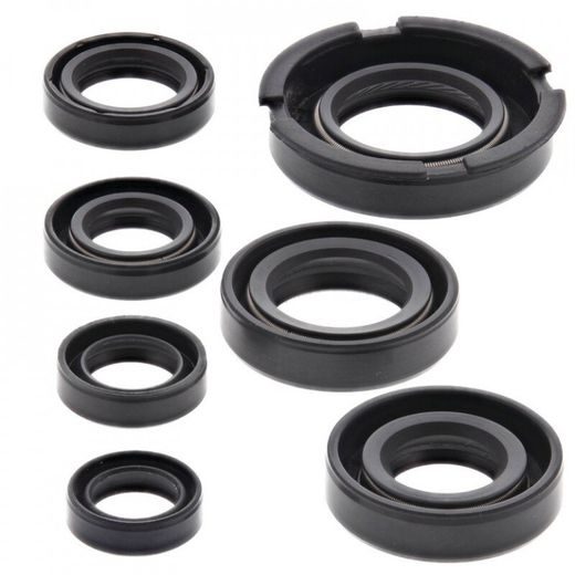 ENGINE OIL SEAL KIT WINDEROSA 822219
