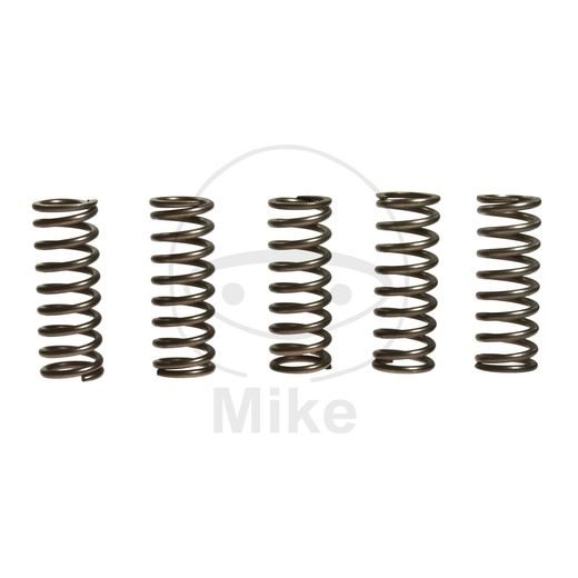 CLUTCH SPRING KIT EBC CSK112 5