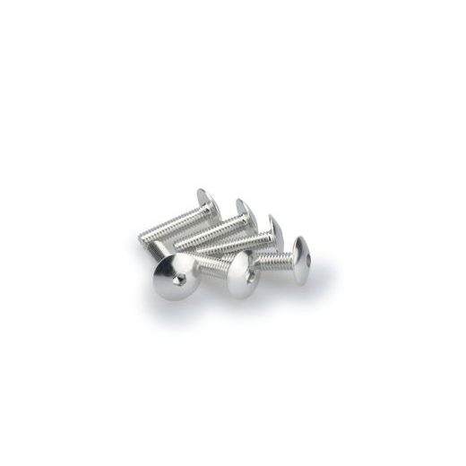 SCREWS PUIG ANODIZED 0689P SILVER M6 X 25MM (6PCS)