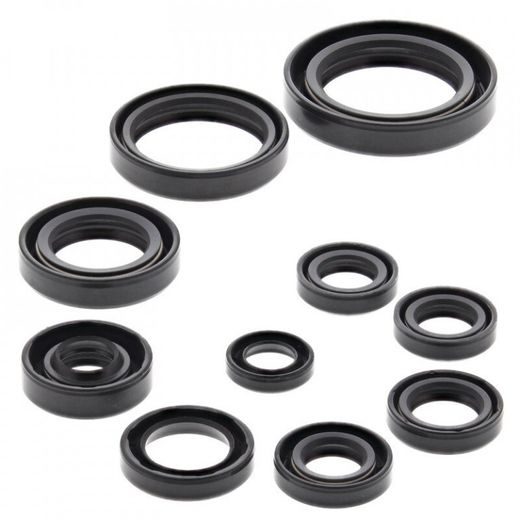 ENGINE OIL SEAL KIT WINDEROSA 822270