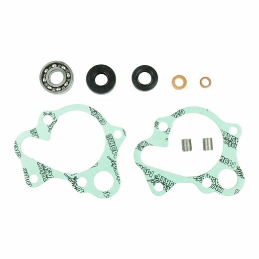 SET ZA POPRAVAK VODENE PUMPE ATHENA P400210348135 WITH BEARINGS