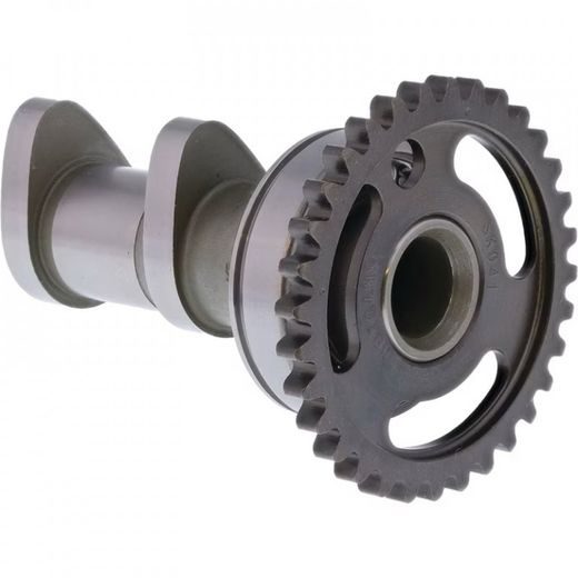 CAMSHAFT INTAKE HOT CAMS 2218-1IN