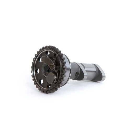 CAMSHAFT EXHAUST HOT CAMS 4289-2E