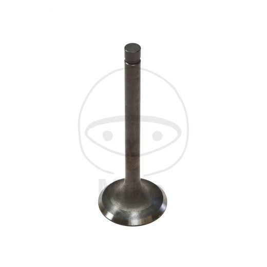 EXHAUST VALVE JMT