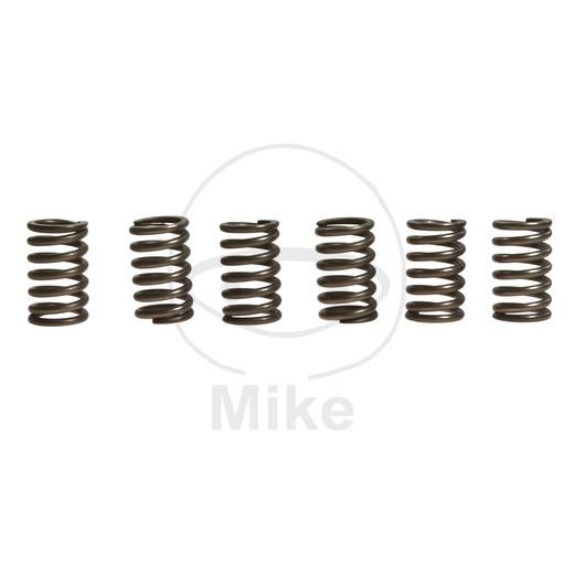 CLUTCH SPRING KIT EBC CSK131 6