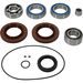 DIFFERENTIAL SEAL ONLY KIT ALL BALLS RACING DB25-2139-5 FRONT