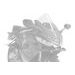 WINDSCREEN PUIG Z-RACING 22644A PLAVI