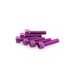 SCREWS PUIG ANODIZED 0544L VIOLET M6 X 25MM (6PCS)