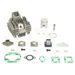 CYLINDER KIT ATHENA 073800 BIG BORE (WITH MAINFOLDS) D 48 MM, 80 CC