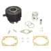 CYLINDER KIT ATHENA 005000 STANDARD BORE D 38,4 MM, 50 CC, CAST IRON