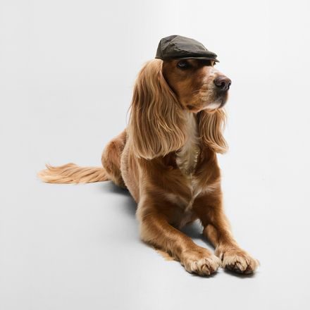 Barbour Dog Wax Flat Cap