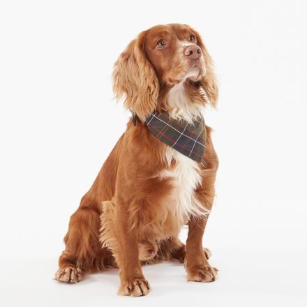 Pamučna bandana Barbour - Classic Tartan