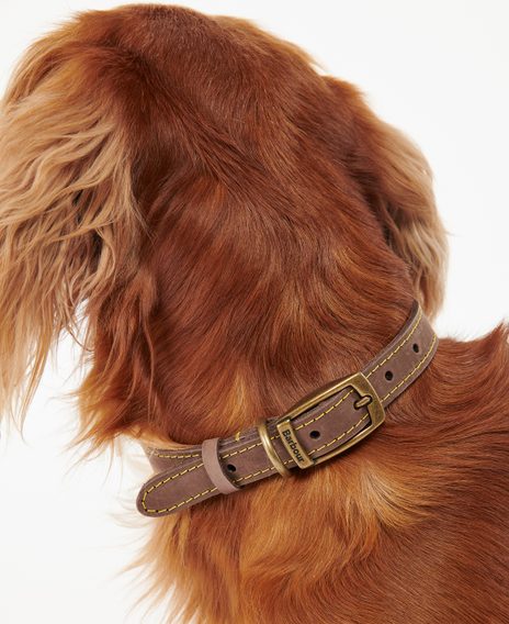 Barbour Leather Dog Collar — Brown