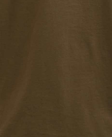 Barbour Homelane Relaxed Fit T-Shirt — Light Sage