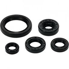 SADA GUFER MOTORU WINDEROSA 822994
