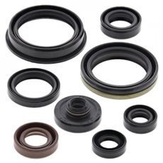 SADA GUFER MOTORU WINDEROSA 822318