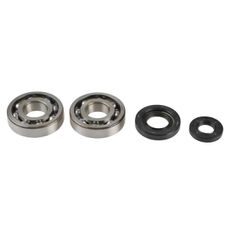 OPRAVNÁ SADA KLIKOVÉ HŘÍDELE ATHENA P400485444038 (BEARING AND OIL SEAL KIT)