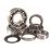 Transmission bearing kits HOT RODS