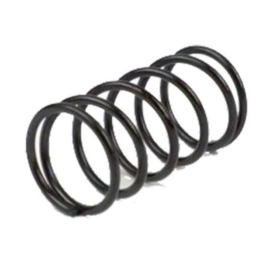 PIN SPRING COVER RMS 121890120