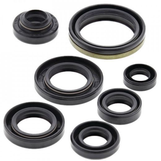 SADA GUFER MOTORU WINDEROSA 822305