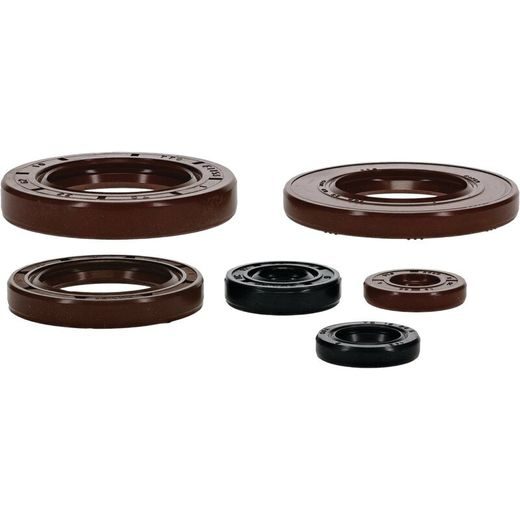 SADA GUFER MOTORU WINDEROSA 822390