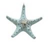 Ozdoba Morská hviezda biela / ružová / modrá 1ks, 12,7x2,5x12 cm