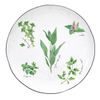 Porcelánový dezertní talíř Herbarium 21 cm, Easy Life
