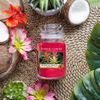 Yankee Candle Classic vonná svíčka Tropical Jungle 411 g