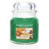 Yankee Candle Classic vonná svíčka Alfresco Afternoon 411 g