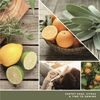 Yankee Candle - voňavý vosk Sage & Citrus, 22 g