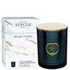 Maison Berger Paris - Vonná svíčka Alpha Pod Olivovníkem královsky modrá, 240g