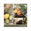 Yankee Candle - Signature vonná svíčka Sage & Citrus, 368g