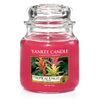 Yankee Candle Classic vonná svíčka Tropical Jungle 411 g