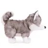 Plyšový pejsek Sweet Husky, 25 cm