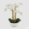 Umělá květina orchidej bílá v bílém květináči, 64 cm
