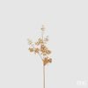Umělá květina eukalyptus zlatý, 60 cm