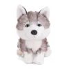 Plyšový pejsek Sweet Husky, 25 cm