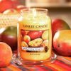Yankee Candle Classic vonná sviečka Mango Peach Salsa 411 g