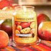 Yankee Candle Classic vonná svíčka Mango Peach Salsa 411 g