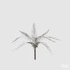 Květina kapradina stříbrná, 38 cm
