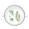 Porcelánová miska s uchy Herbarium 12cm, Easy Life