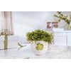 With Love Hrnek Good Luck 290ml, Villeroy & Boch