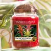 Yankee Candle Classic vonná sviečka Tropical Jungle 411 g