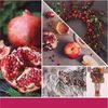 Yankee Candle - Vonný vosk Sparkling Winterberry